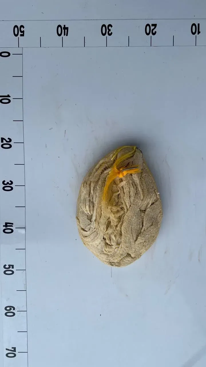 черева свин.jpg