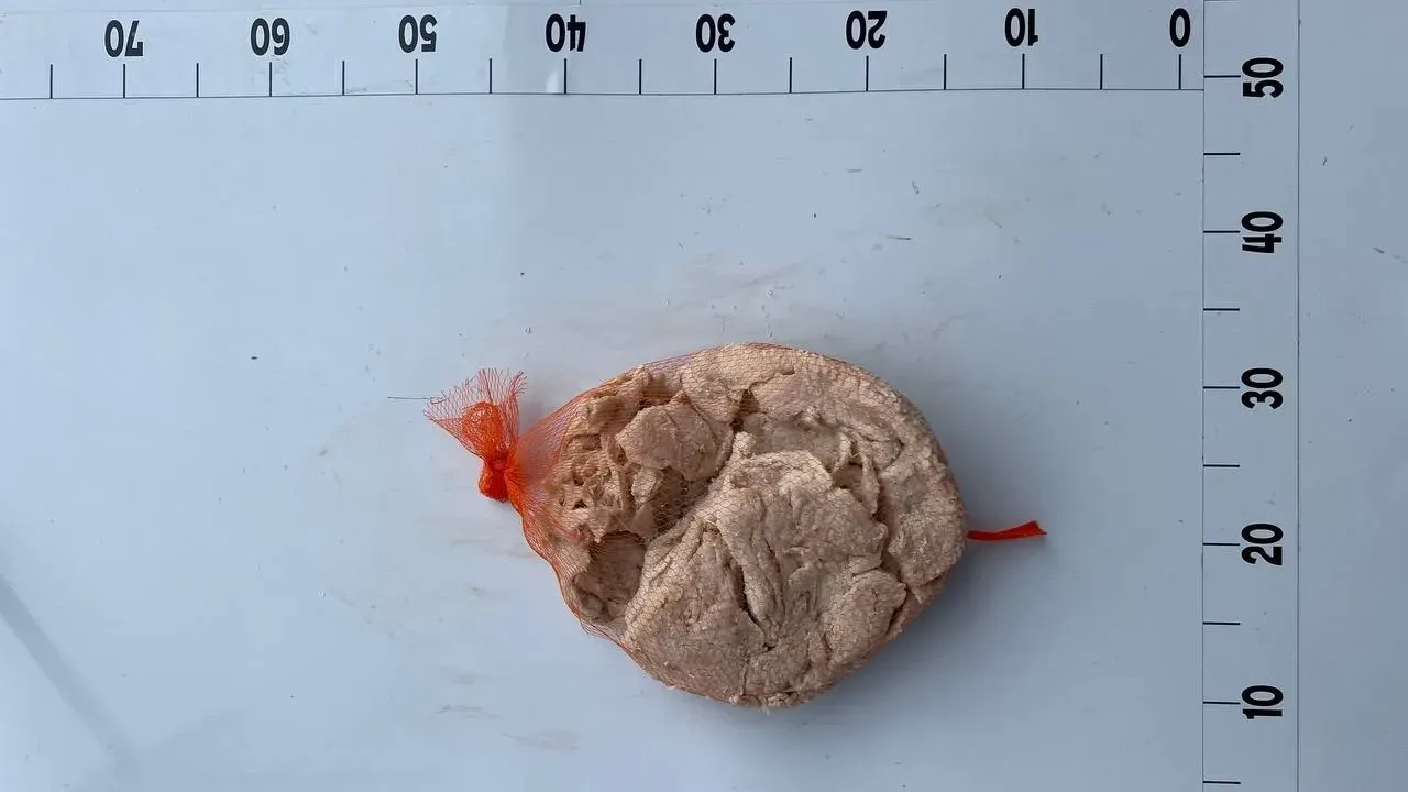 черева свин 1.jpg