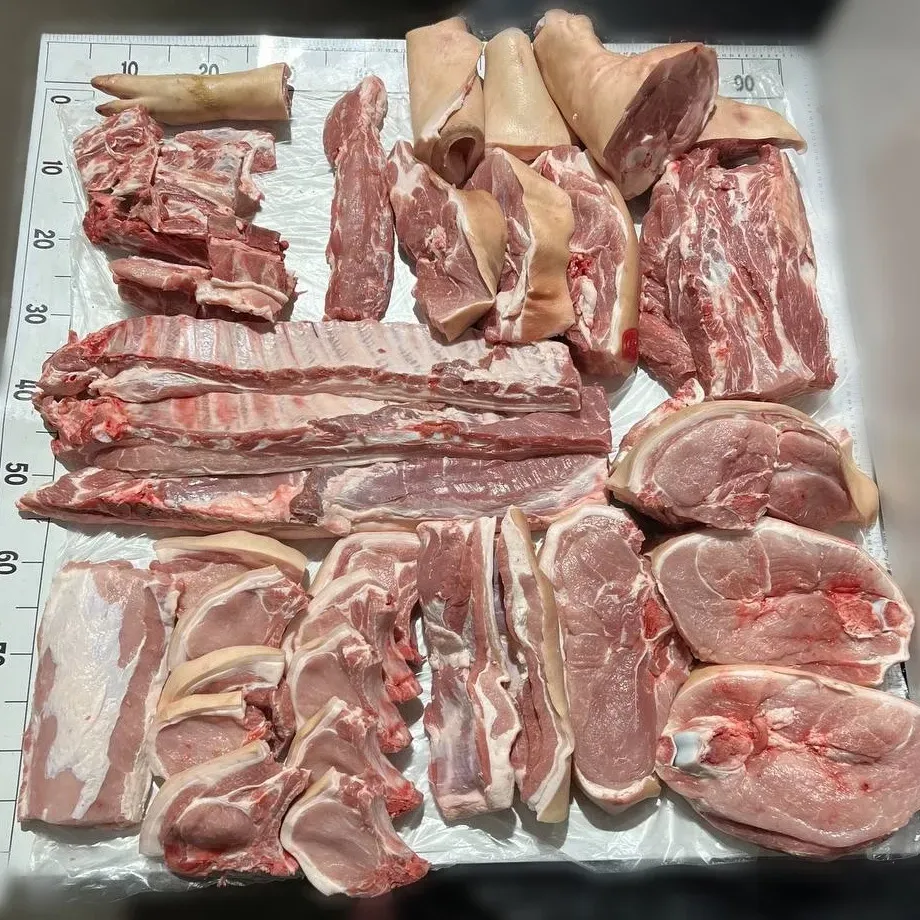 WhatsApp Image 2025-10-29 at 15.06.35.jpeg