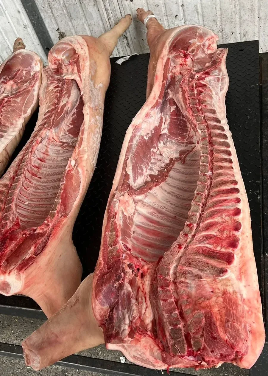 WhatsApp Image 2025-10-31 at 14.03.38 (1).jpeg.jpg