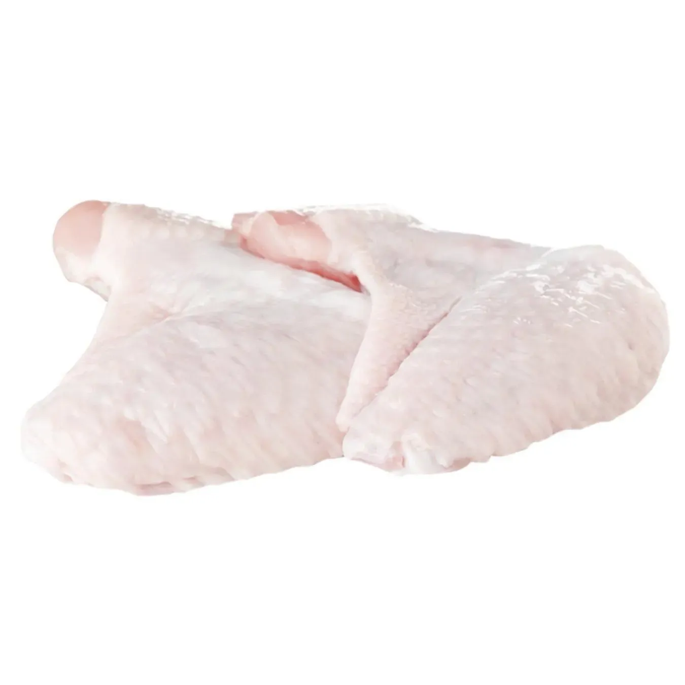 крыло 2 фаланги .jpg