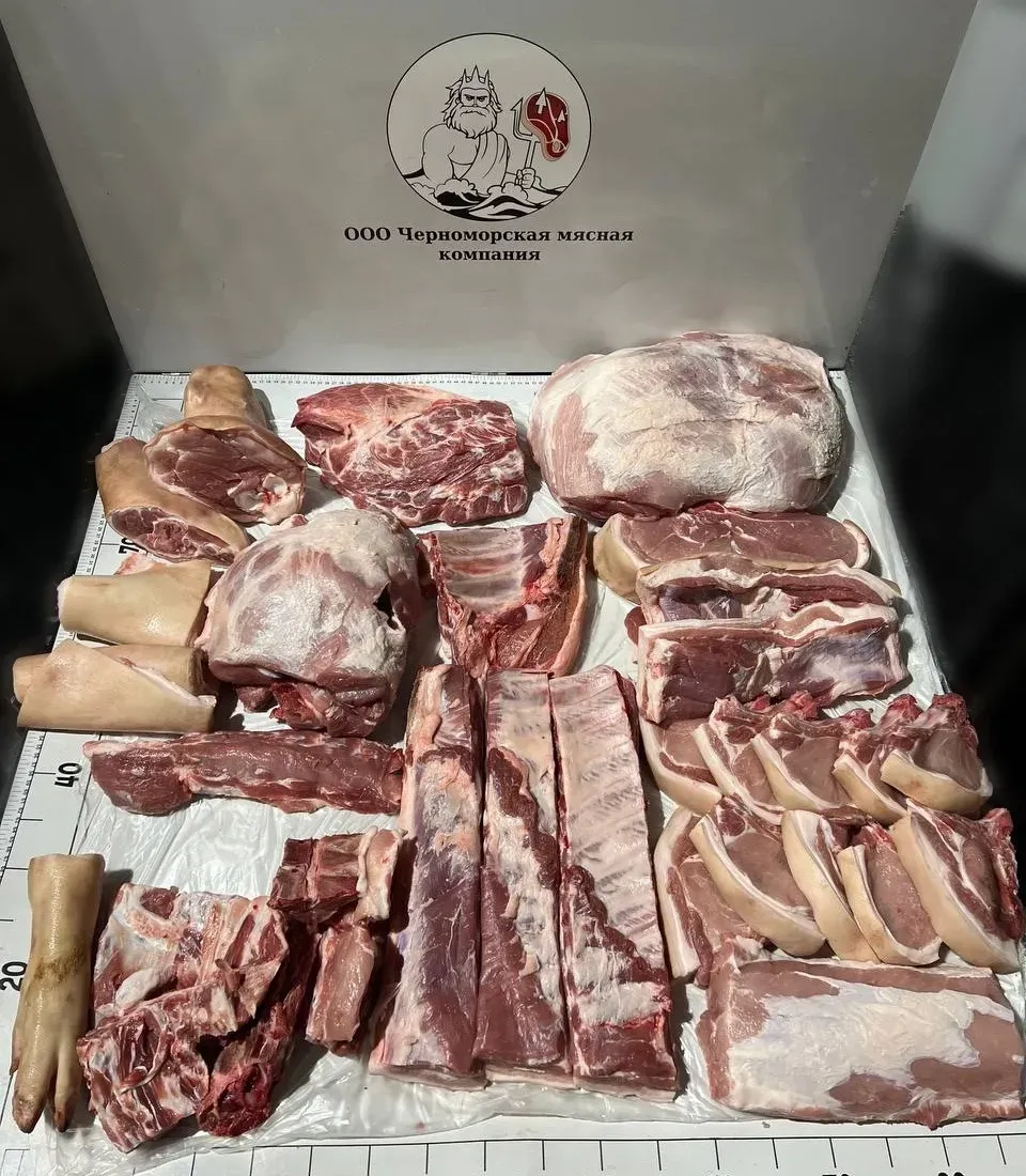 WhatsApp Image 2025-10-29 at 15.06.34 (1).jpeg