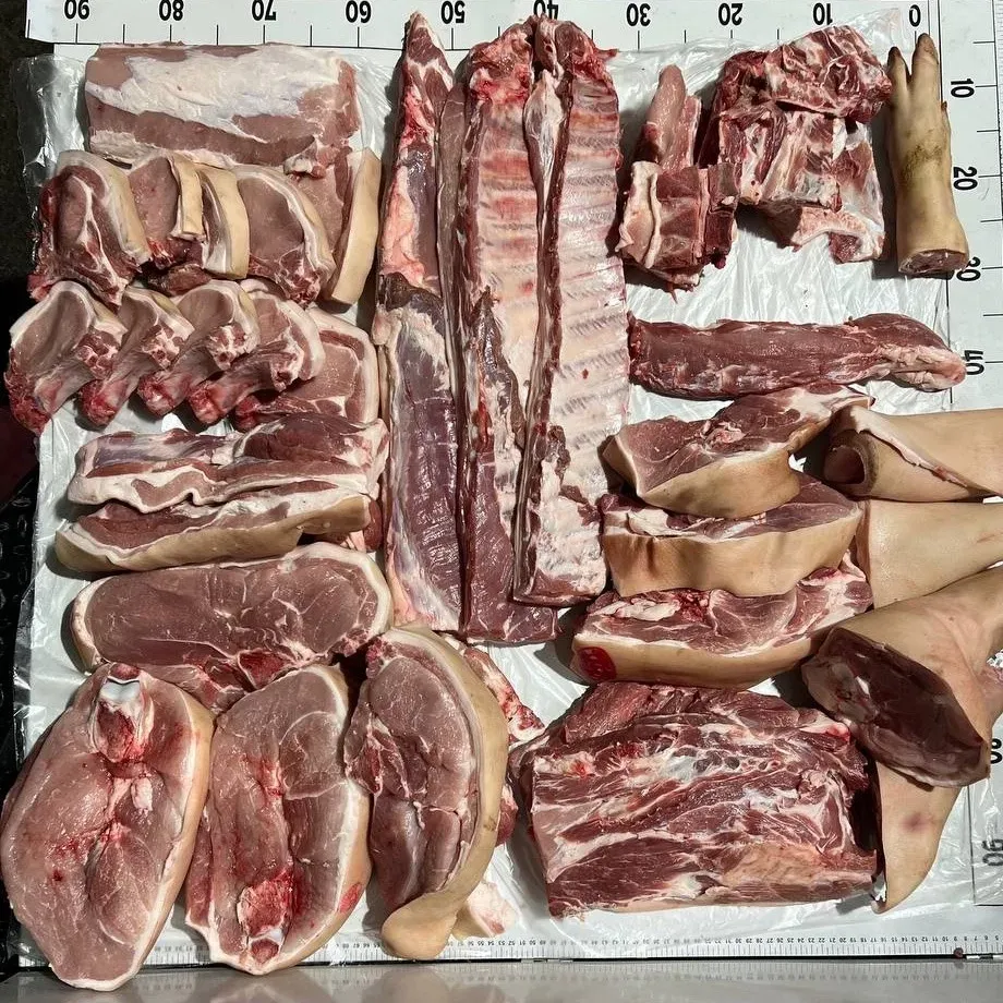 WhatsApp Image 2025-10-29 at 15.06.35 (1).jpeg